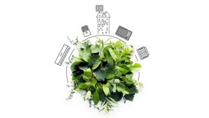 Green leaves surrounded by icons representing energy-efficient HVAC systems, highlighting the benefits of investing in sustainable heating and cooling solutions.